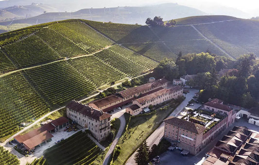 paysage vitivinicole au coeur de Barolo