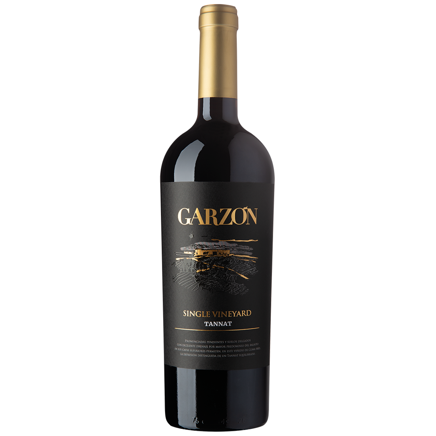 Bodega Garzón, Single Vineyard Tannat