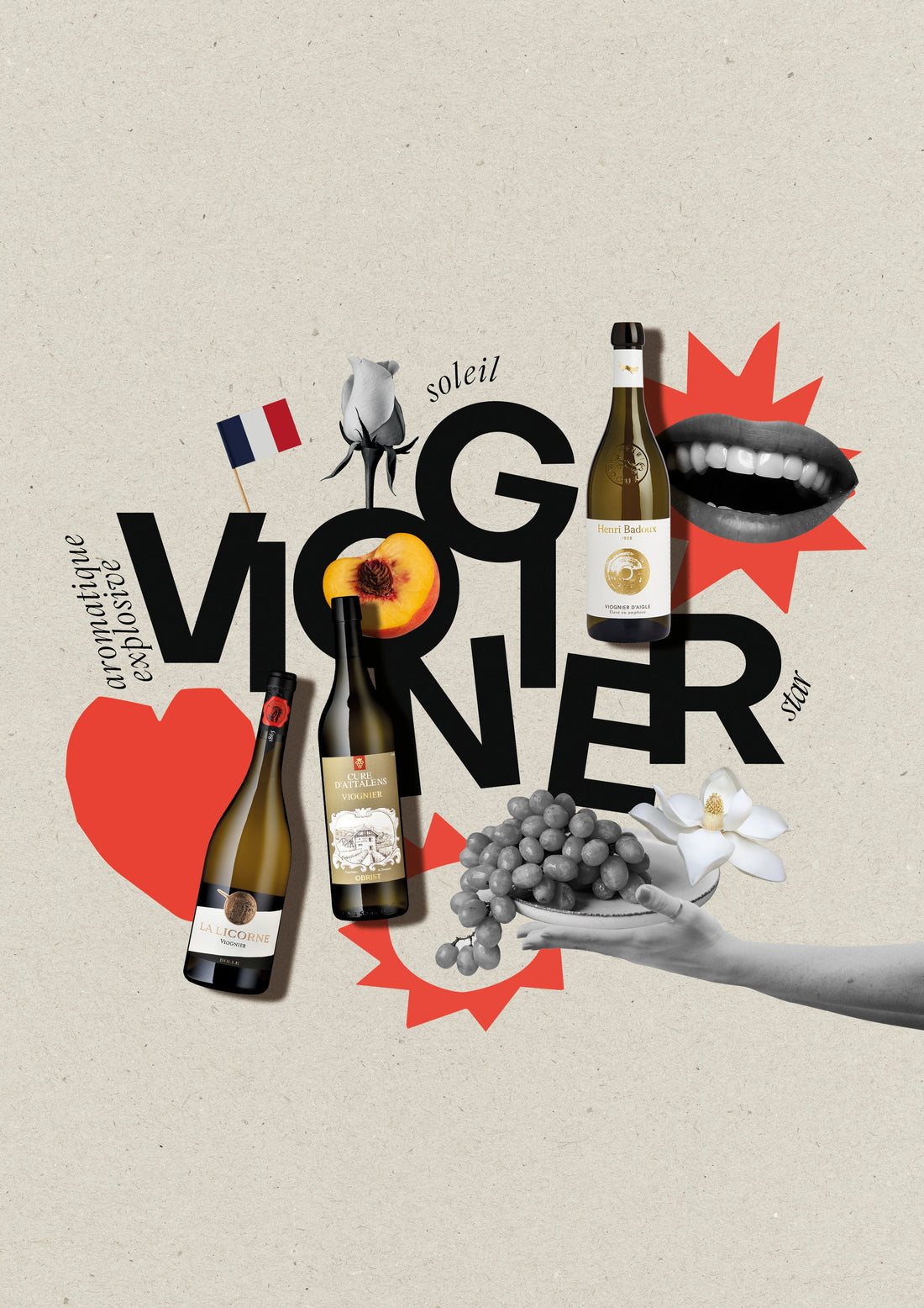 Cépage Sorcier : Le Viognier, c'est quoi ?