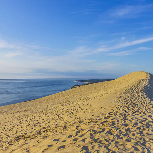 dune au bord de l'atlantique