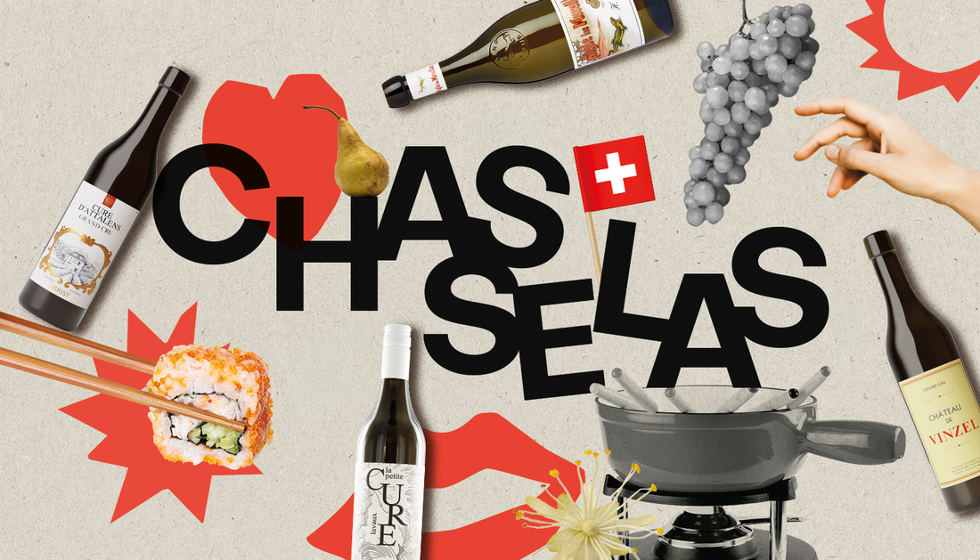 Cépage Sorcier : Le Chasselas, c'est quoi ?