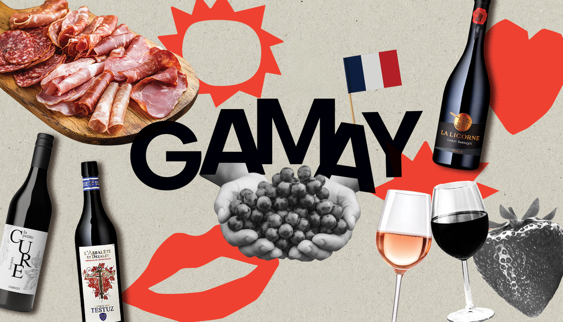 Cépage Sorcier : Le Gamay c'est quoi ?