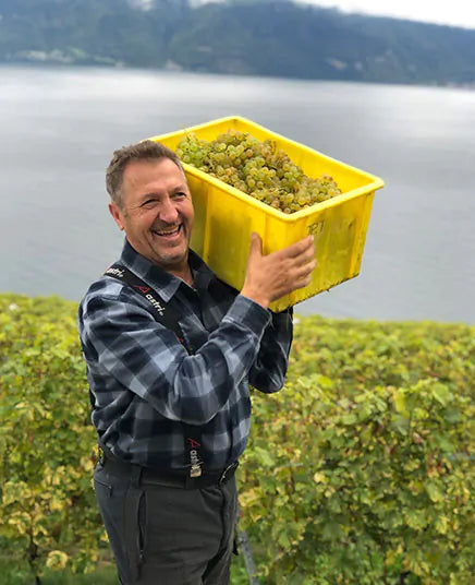 homme portant une boîte jaune pleine de grappe de raisin de chasselas