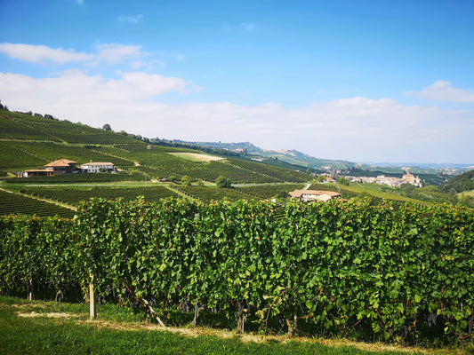 Accords mets-vins d’automne : voyage dans le Piémont