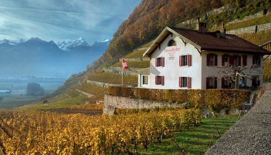 Voyage viticole en terres helvétiques : Clos du Rocher