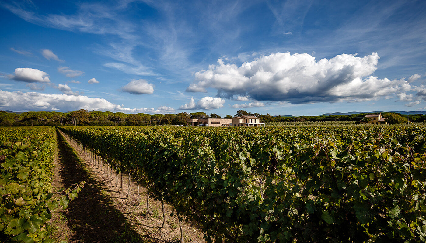 Azienda Agricola Villanoviana – theWinefamily.ch