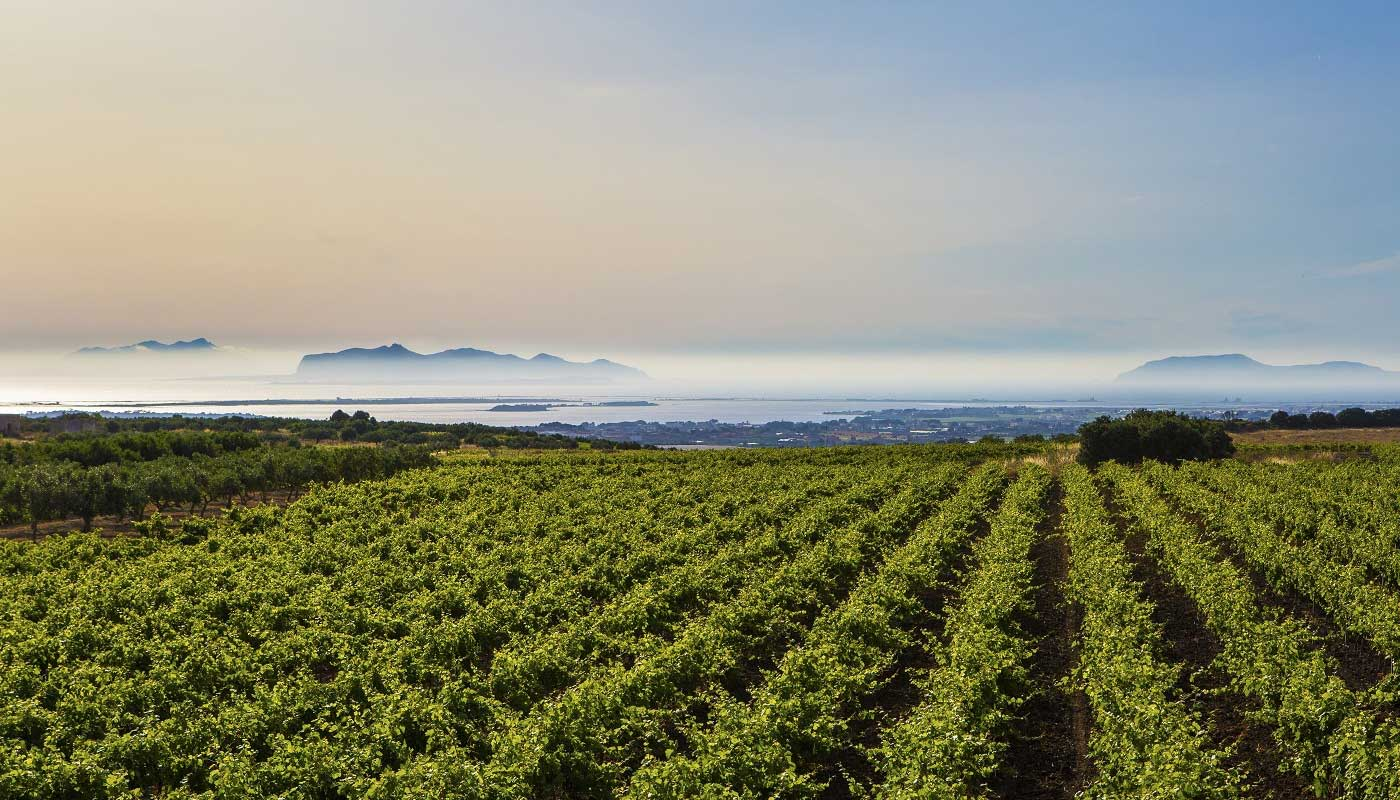 Cantine Paolini