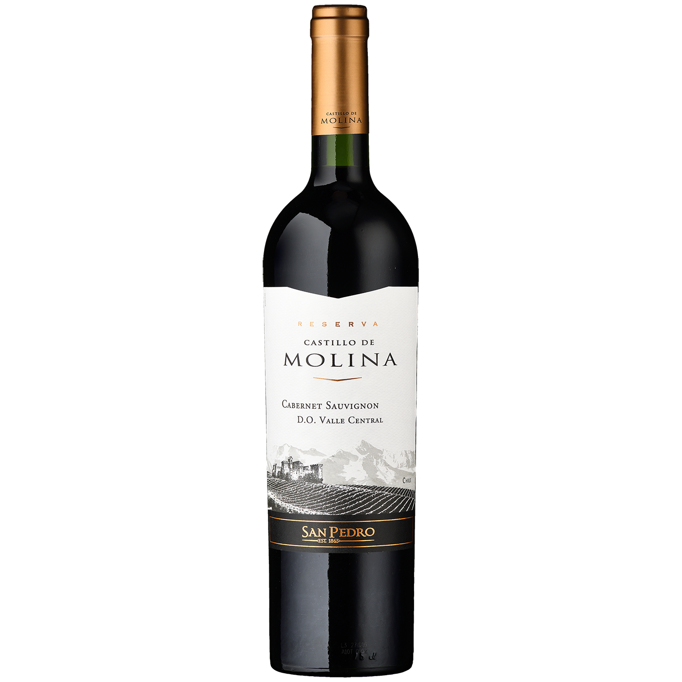 Castillo de Molina Reserva Cabernet Sauvignon