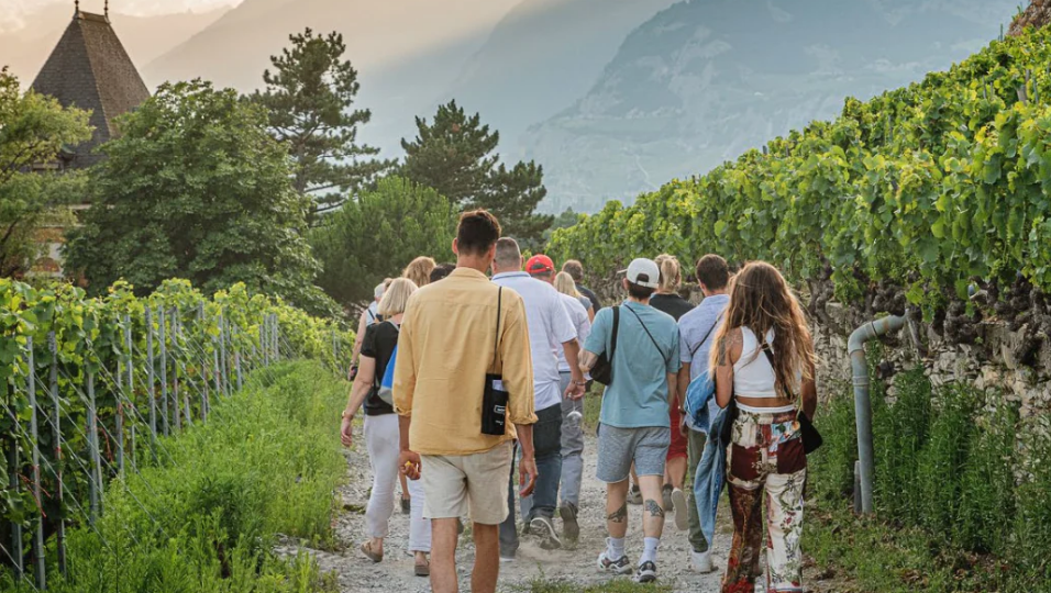 Mont d'Or – Offene Weinkeller