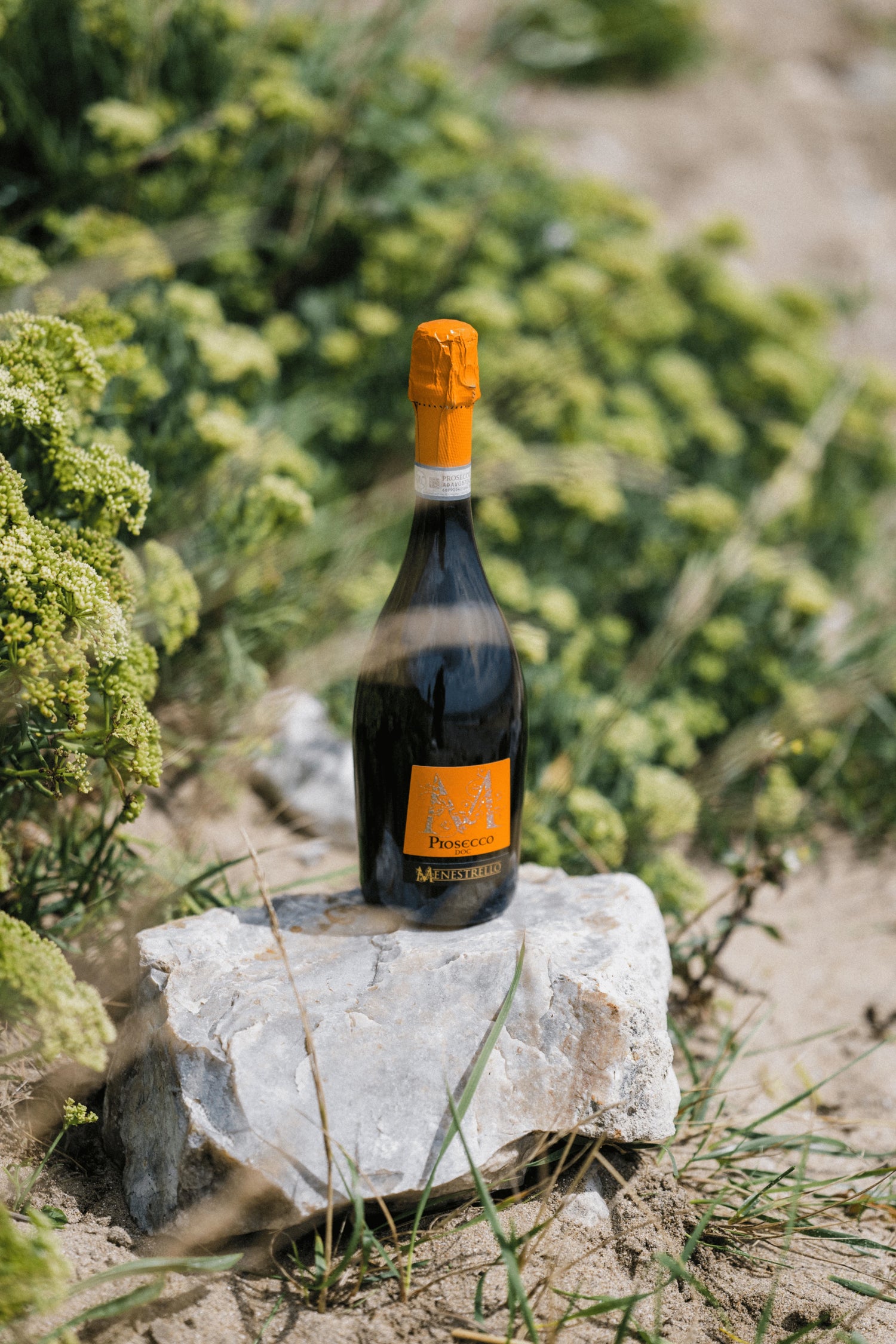 Venetien, Land großer italienischer Weine