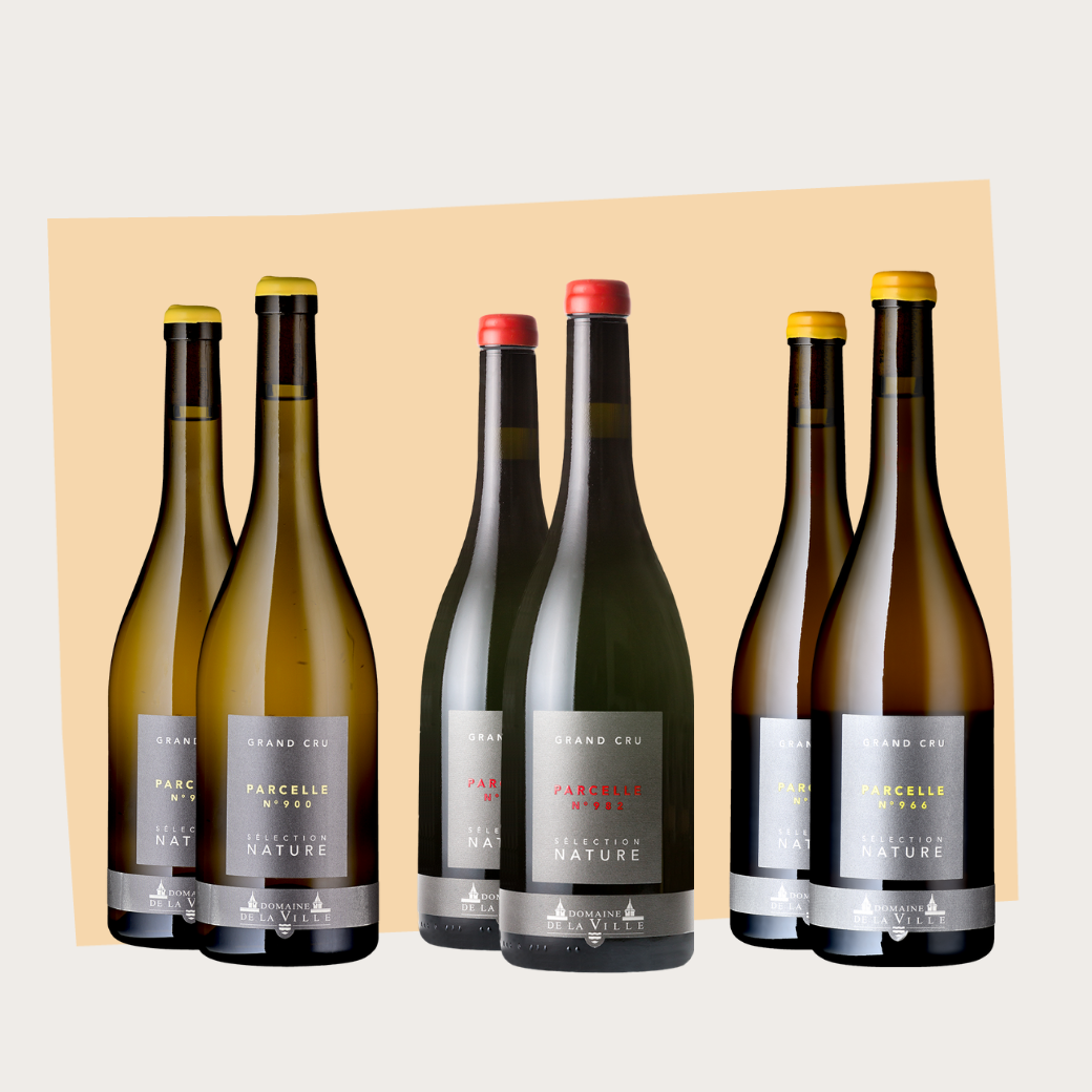 Discovery box: Domaine de la ville de Morges, Swiss Nature Cave (6 bottles)