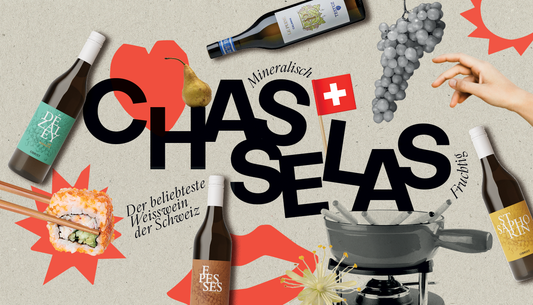 Alles über die Rebsorte: Der Chasselas