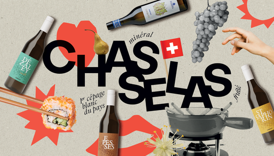 Cépage Sorcier : Le Chasselas, c'est quoi ?