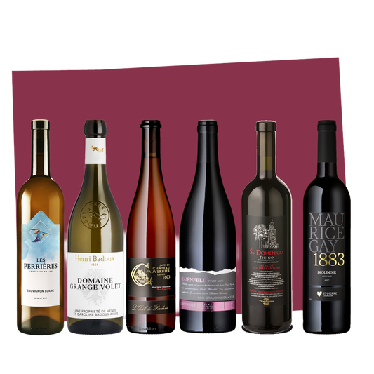 Kennenlernkarton: 6 Flaschen aus 6 Weinanbaugebieten