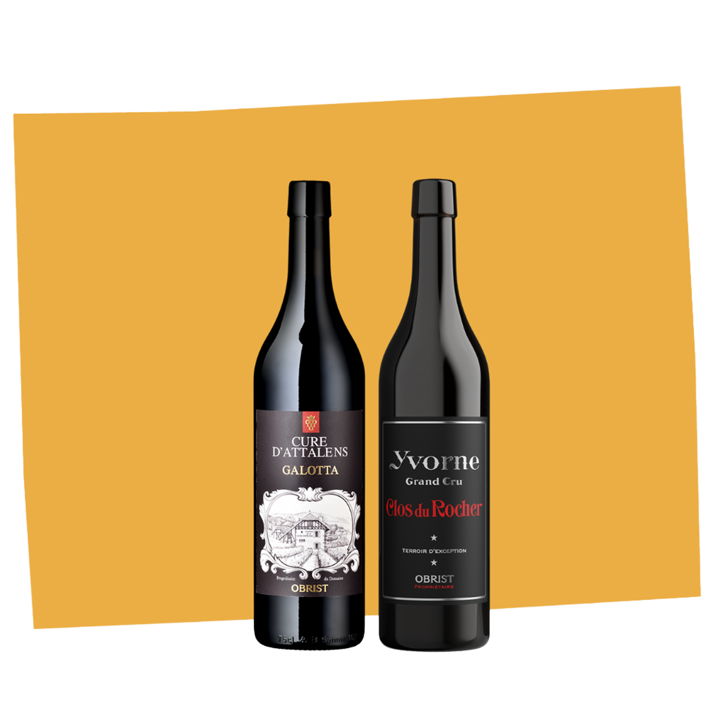 Discovery Box: Médailles d’Or Rouge Selection of Vaud Wines 2026 (2 bottles)