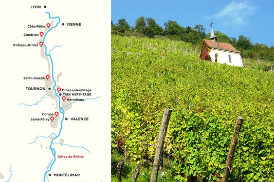 Côtes du Rhône : deux régions, une multitude de styles