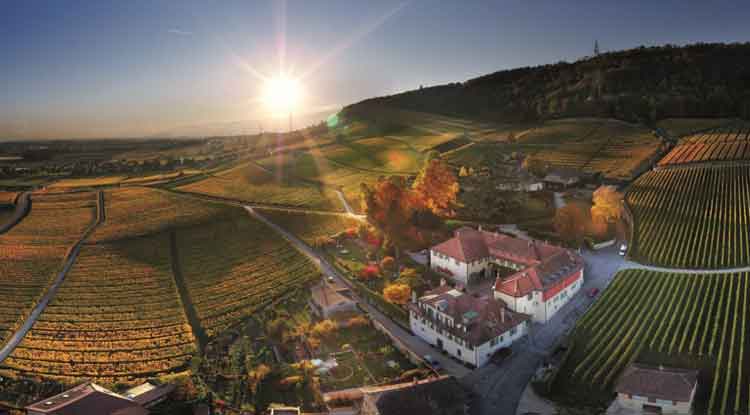 <strong>Open house at Château de Vinzel and Domaine de Sarraux-Dessous</strong>