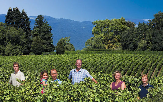 famille au milieu d'une vigne de gamaret