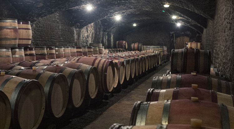 An iconic Burgundy fine wine house
