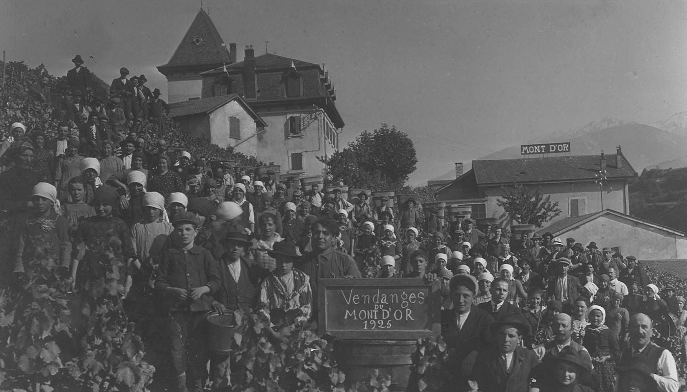 Les vendanges de 1925 au Domaine du Mont d'Or