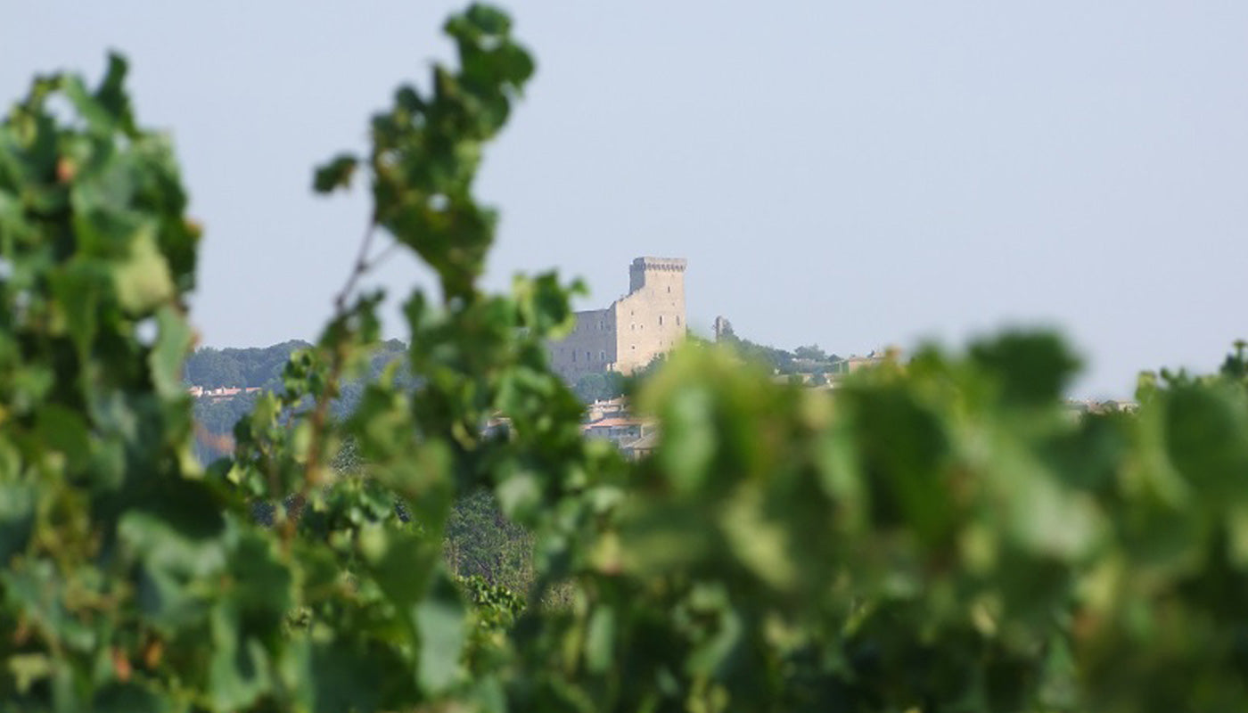 Domaine du père Caboche