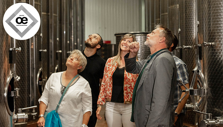 <strong>Henri Badoux</strong>