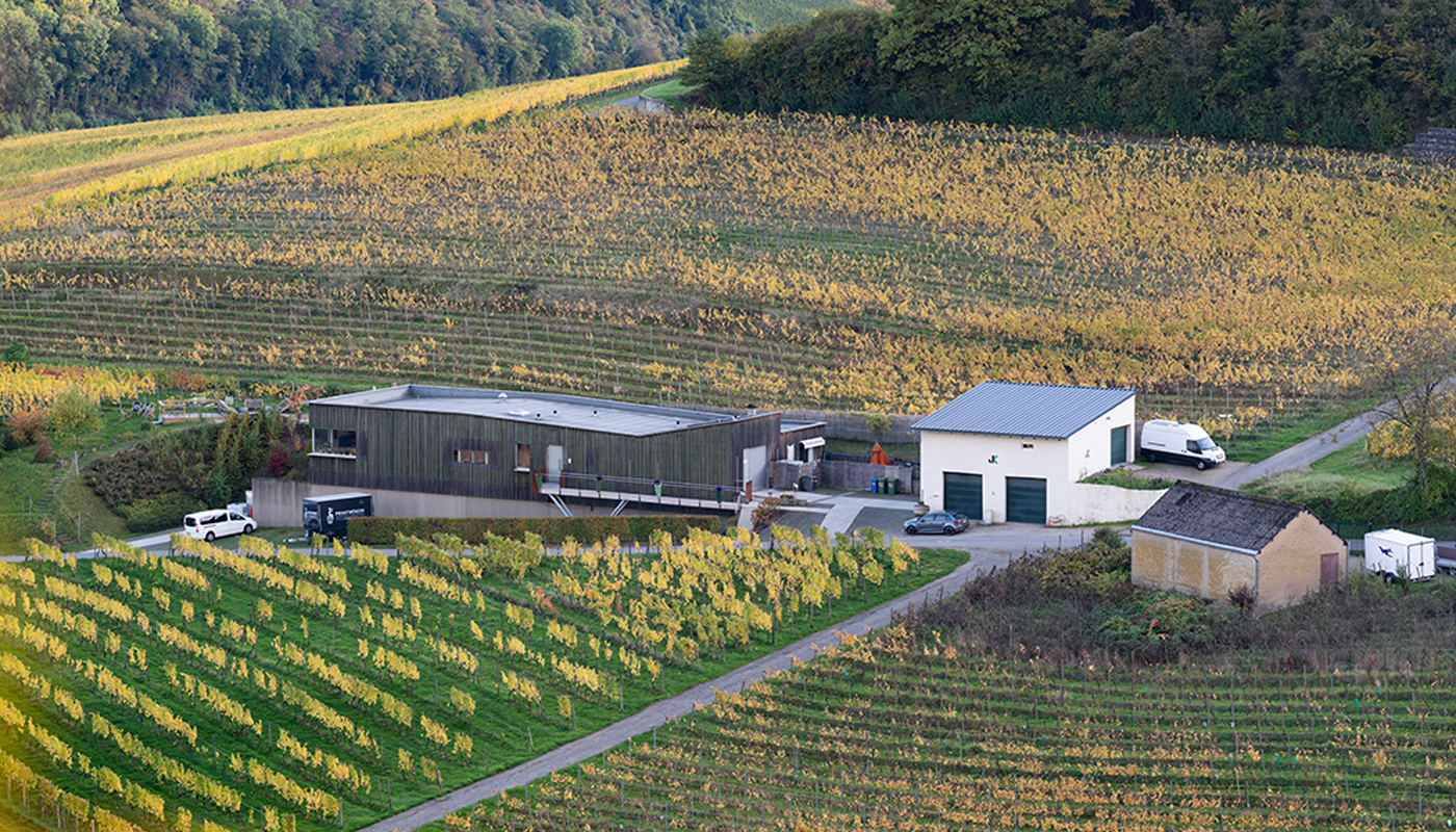Un virage viticole