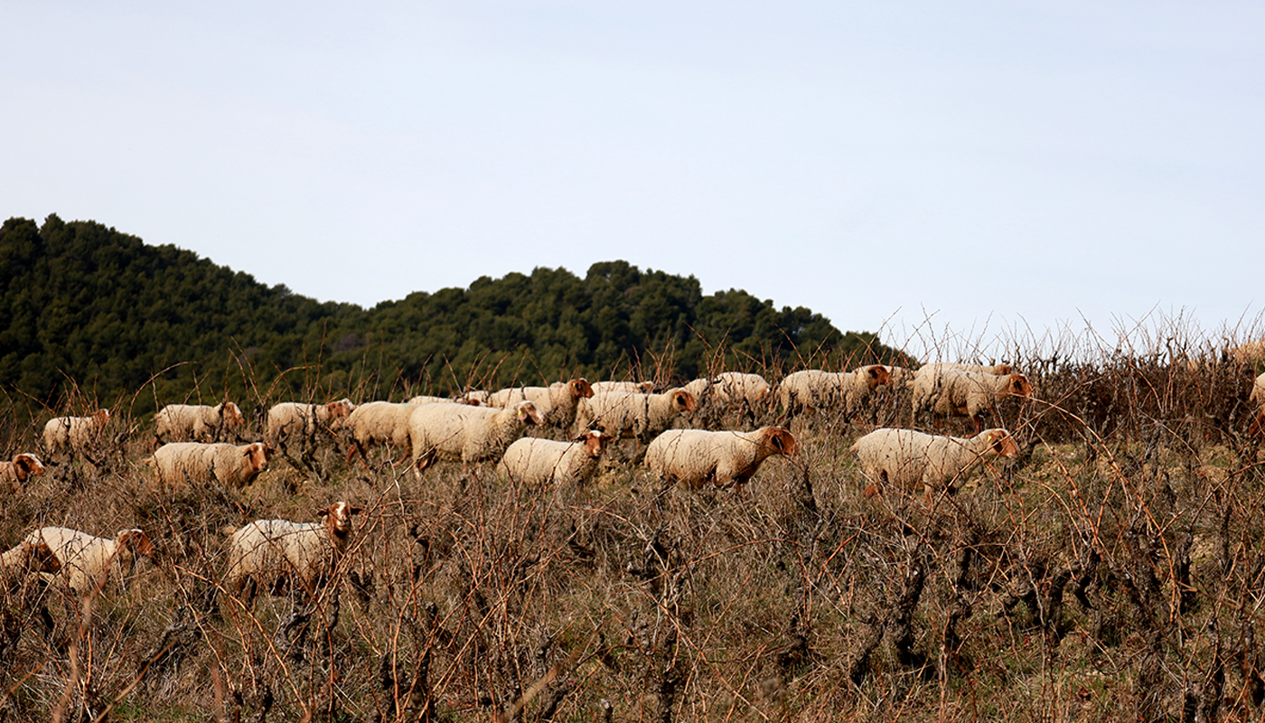 Un respect continu de l’environnement