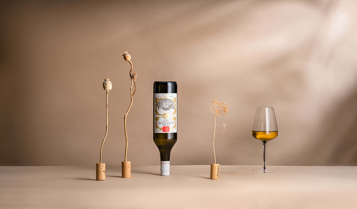 <p><strong>Nos vieux chasselas</strong></p>