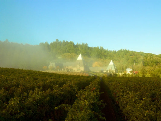 California: Mass wines and classy wines